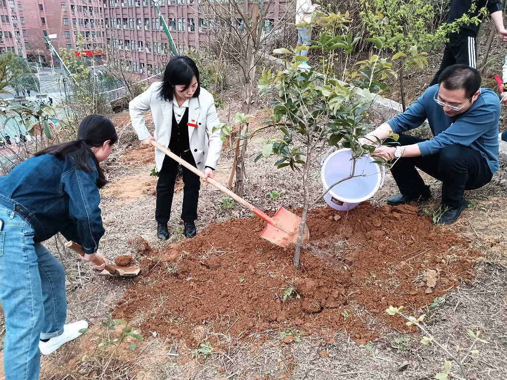 机械工程系党总支、教学教辅部门党支部联合开展“植新绿 树新风”主题党日活动