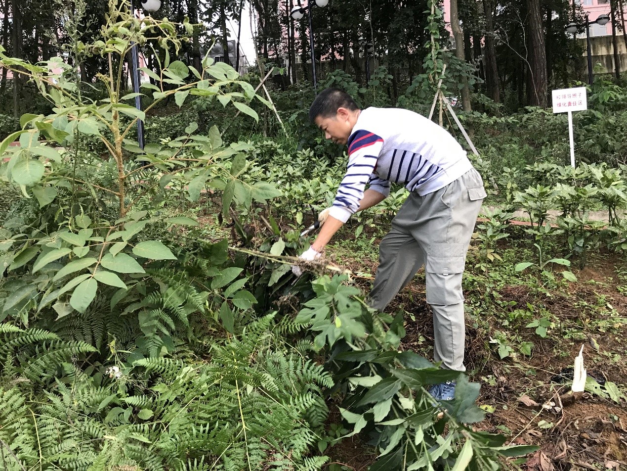 第一党支部组织召开义务劳动活动